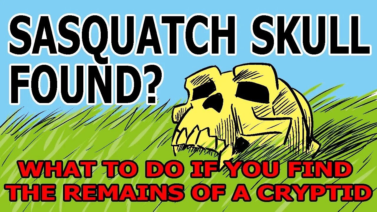 Bigfoot Skull Found? What to do if you find cryptid remains