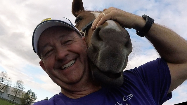 Horse's face massage turns into adorable interaction