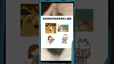 你知道猫为什么打鼾吗？可爱的宠物猫猫猫打鼾？科普知