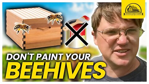 Tired of Painting Beehives? Try This Instead