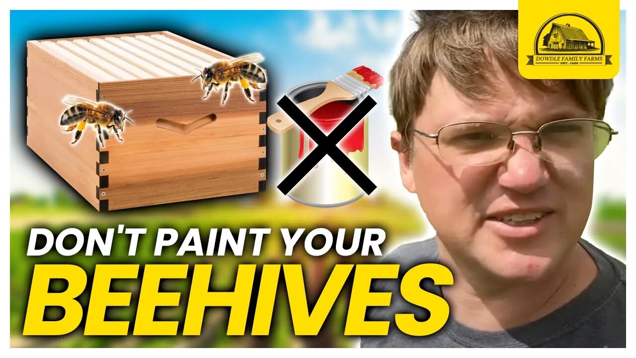 Tired of Painting Beehives? Try This Instead