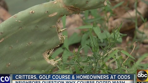 Wash destroying animal habitat in Gold Canyon