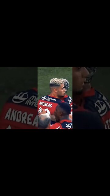 TORCIDA DO FLAMENGO APOIO MÁXIMO #shorts