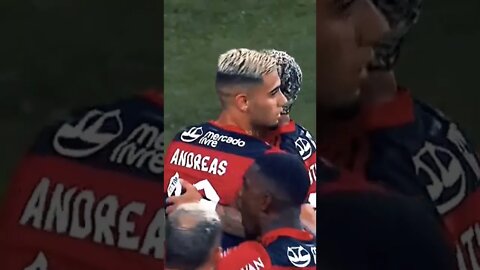 TORCIDA DO FLAMENGO APOIO MÁXIMO #shorts