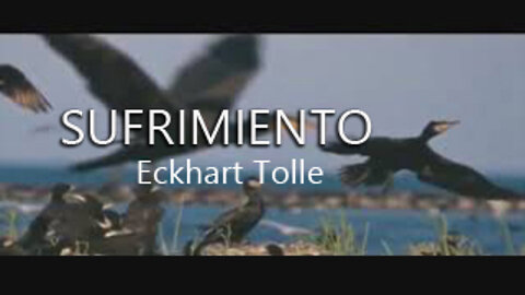 Eckhart Tolle - El sufrimiento - Narrado por Yolanda Adabuhi en castellano