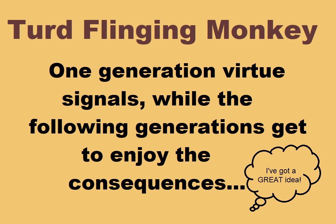 Turd Flinging Monkey on how A GENERATION VIRTUE SIGNALS while FUTURE GENERATIONS GET CONSEQUENCES