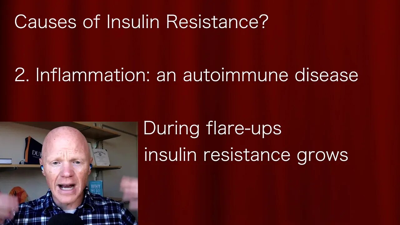 Dr Ben Bikman: Causes of insulin resistance