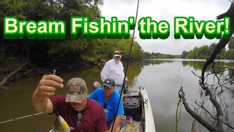 Fishing the River after a Storm!