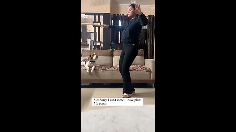 dog and girl dance