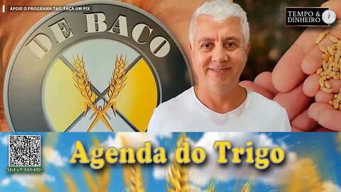 Tudo acaba, até o estoque de trigo....