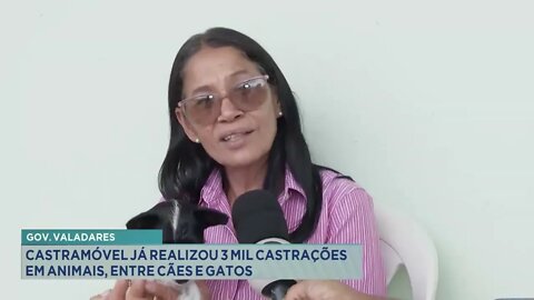 Gov. Valadares: Castramóvel já realizou três mil castrações em animais, entre cães e gatos