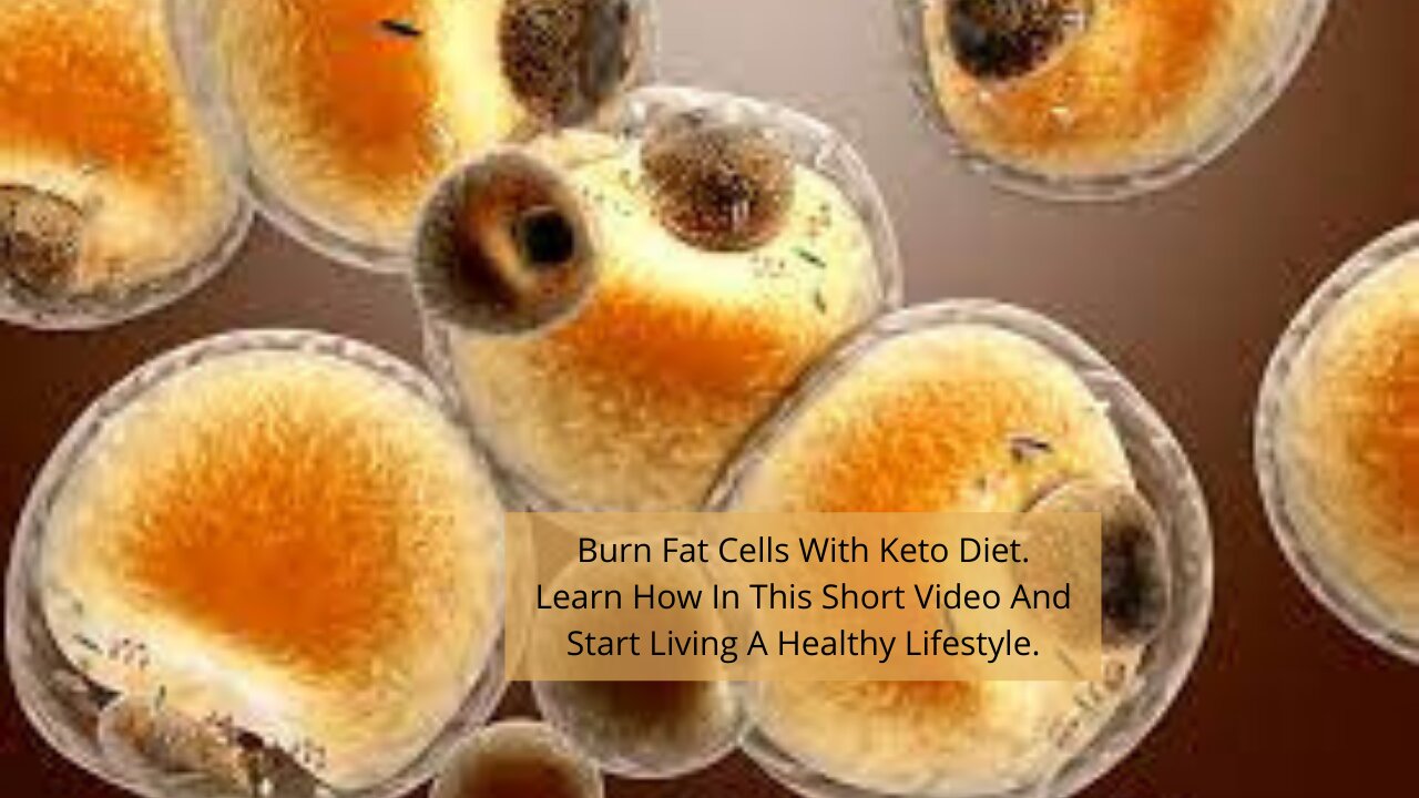 Learn How To Start A Keto Diet for A Healthy Lifestyle - Easy Start!