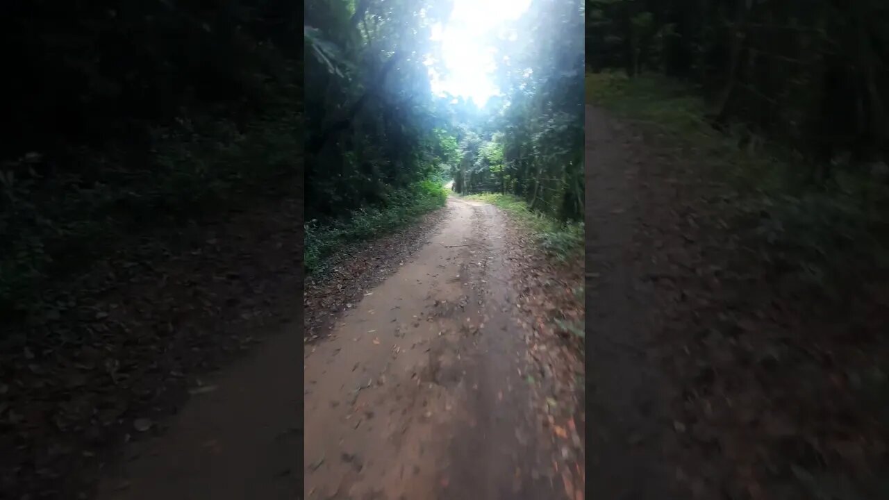 NA ESTRADA JOSE LOPES TAIPAS CANTAREIRA NINGUÉM NA ESTRADA CAMINHADA 04