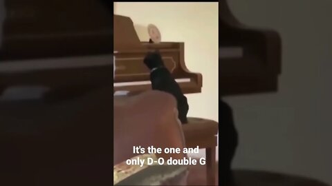 It's the one and only D-O double G #shorts