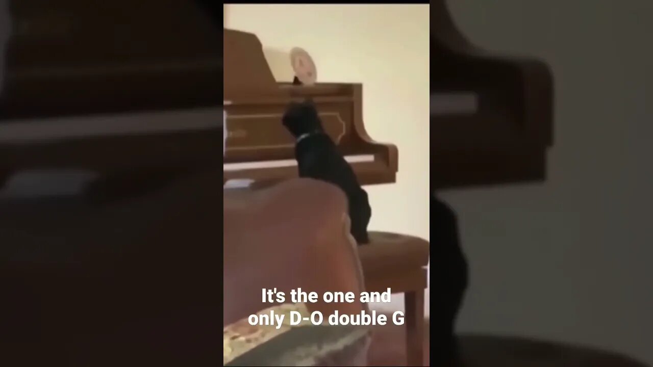 It's the one and only D-O double G #shorts