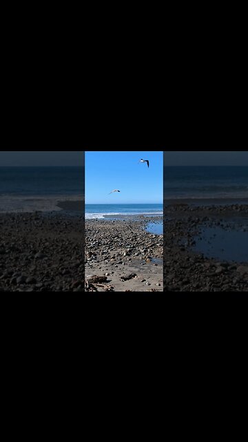 Calm Waves and Pebbles
