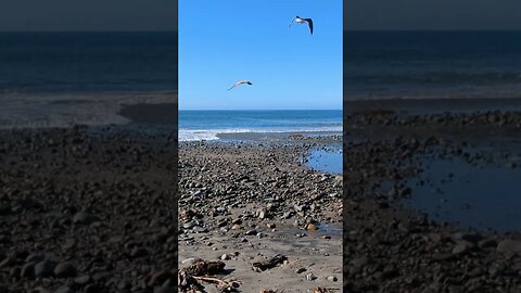 Calm Waves and Pebbles