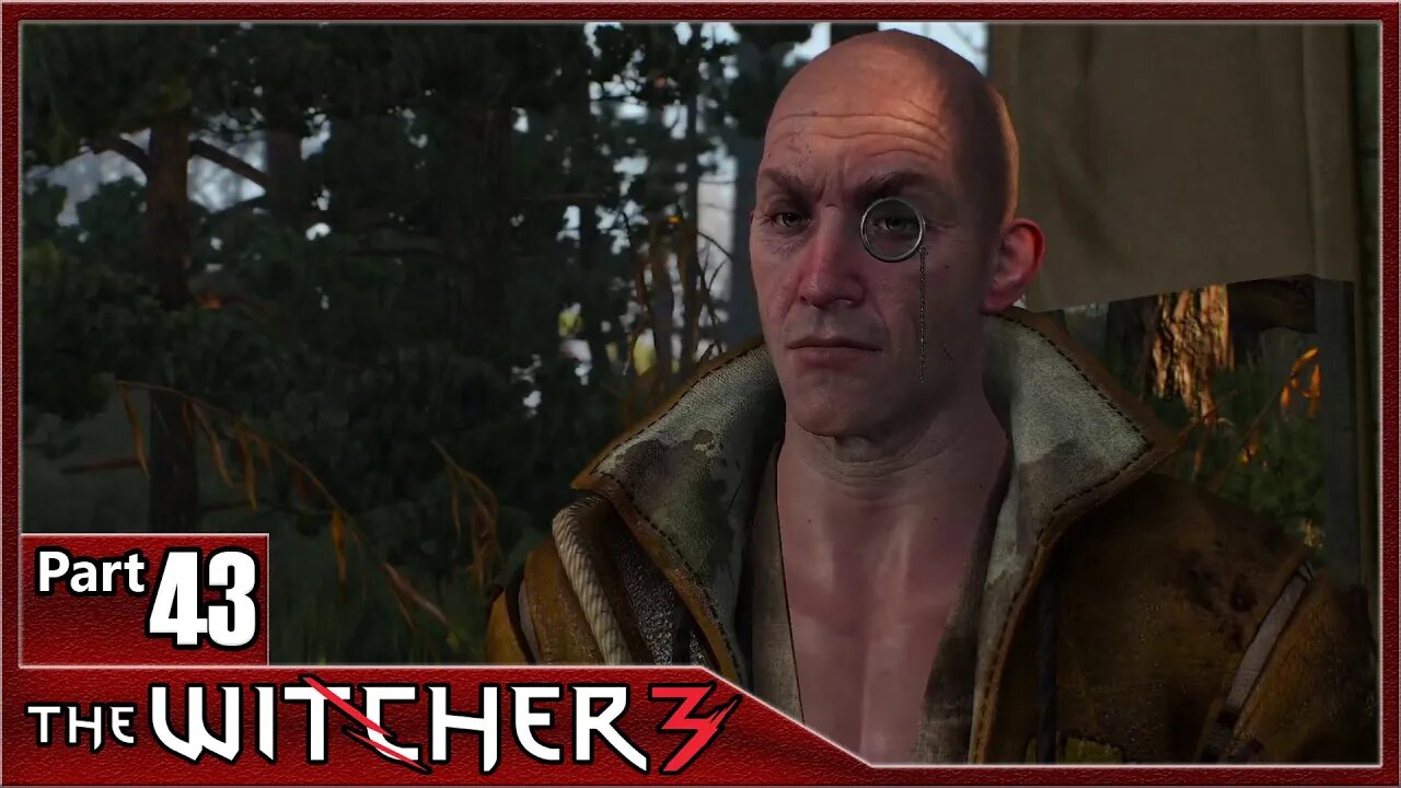 The Witcher 3, Part 43 / A Deadly Plot, Ogg and Pogg, Gwent Playing Thaler