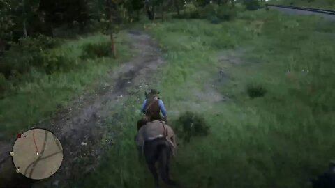 Red Dead Redemption 2 part 10