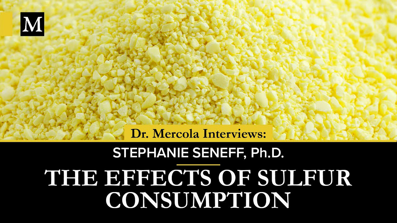 The Effects of Sulfur Consumption – Interview With Stephanie Seneff, Ph.D.