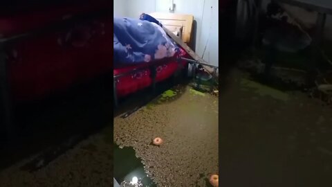 nada contra mais esse dormi bem😂 #shorts