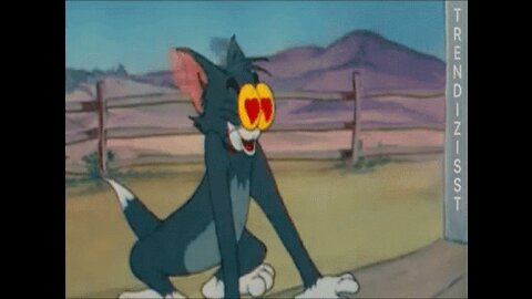 What did they just say ?