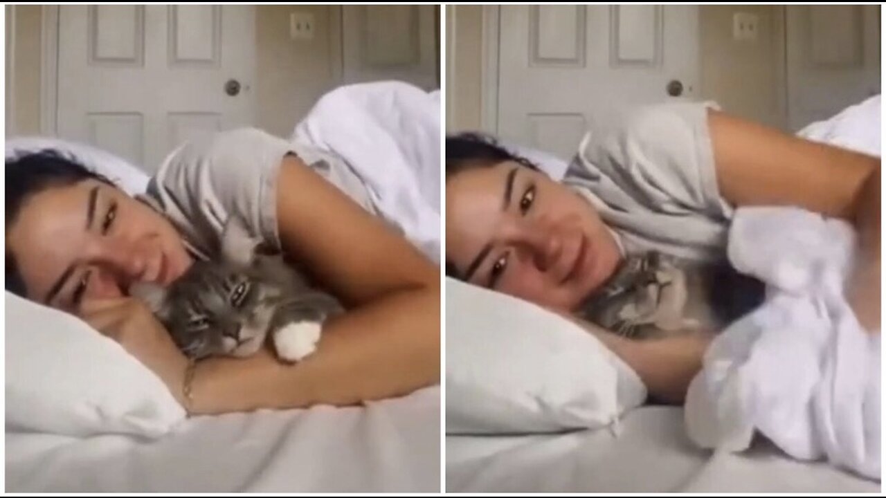 Very cute video😍😽-cats