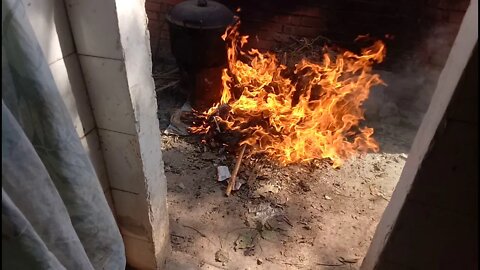 大太阳加大火，连鸡都在尖叫