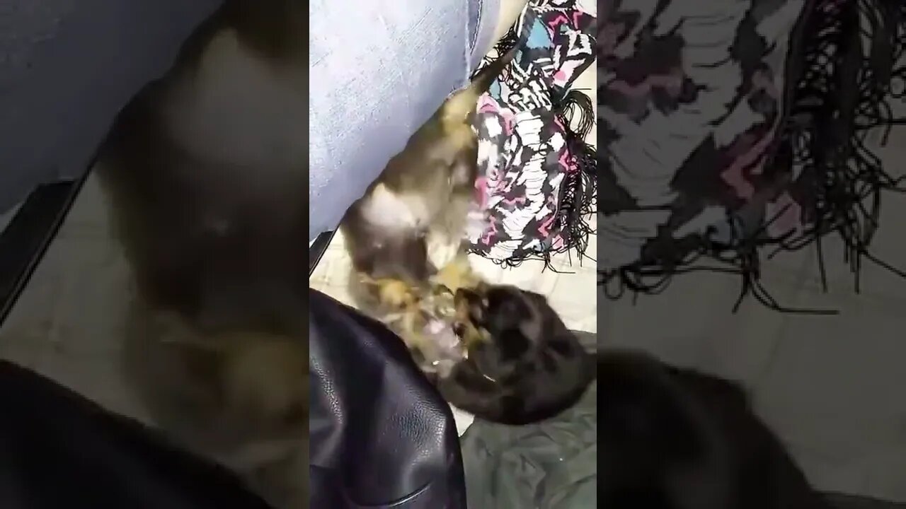 Iris Teaching Jude A Lesson