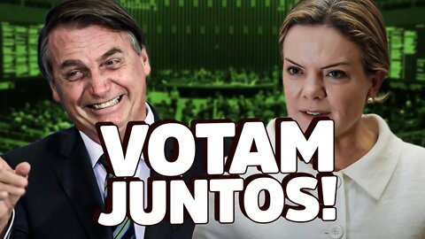 Números PROVAM: petistas e bolsonaristas VOTAM JUNTOS em principais pautas