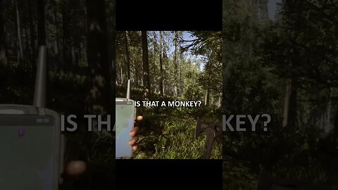 Surviving together in the Forest #sonsoftheforest #funnygaming #survivalgame