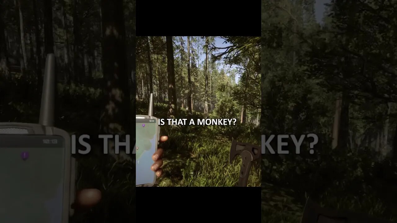 Surviving together in the Forest #sonsoftheforest #funnygaming #survivalgame