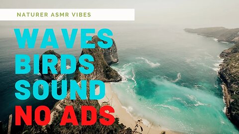 Relaxing Birds chirping in sea and ocean waves sounds for sleep ASMR