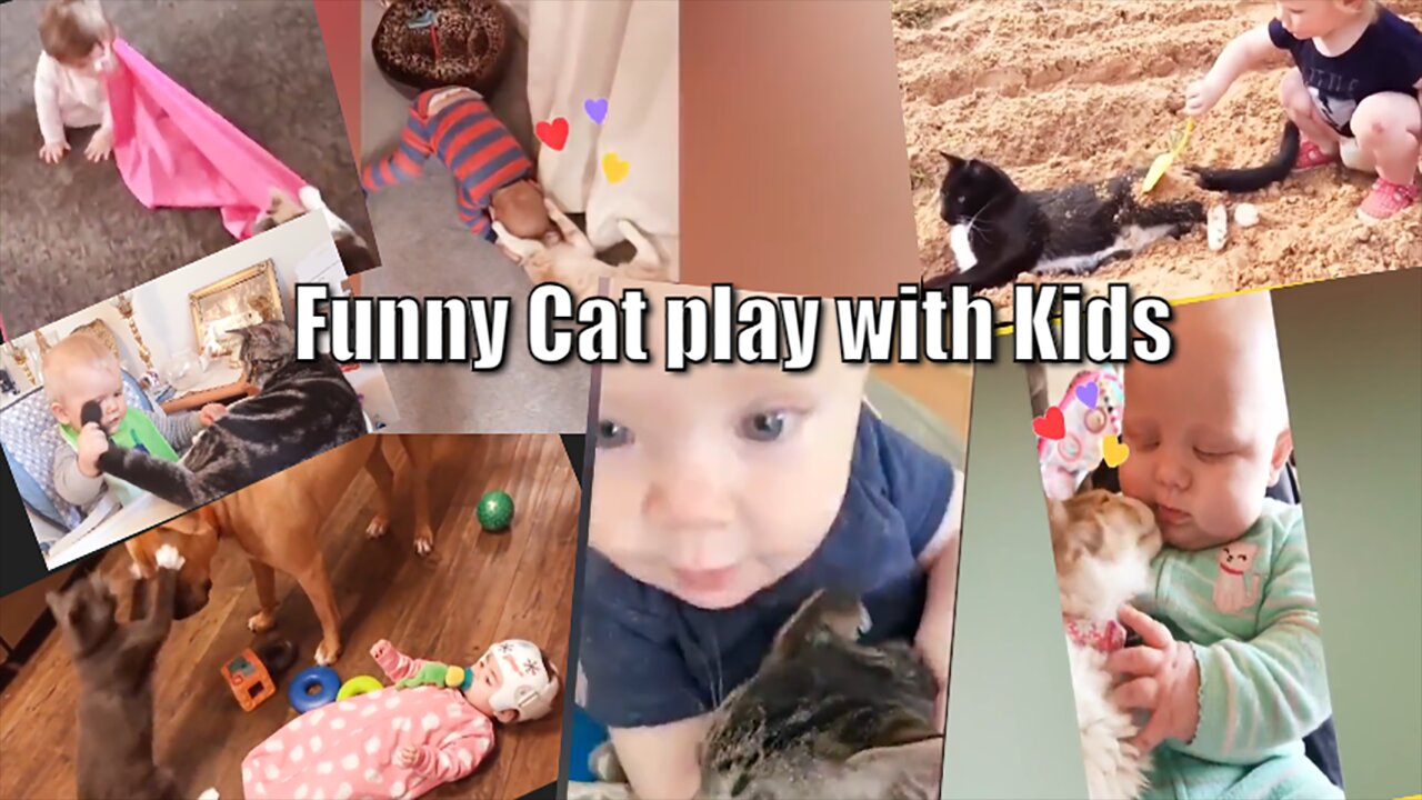 Hilarious Hijinks: Funny Cat Playtime with Kids! l Try Not To Laugh