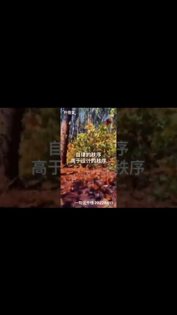 一句话开悟20220411