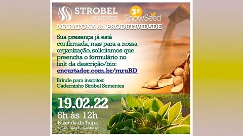 3 Show Seed da Strobell Sementes. 19.02 em Condor RS