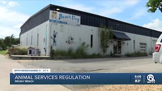 Delray Beach leaders to discuss new regulations for animal services