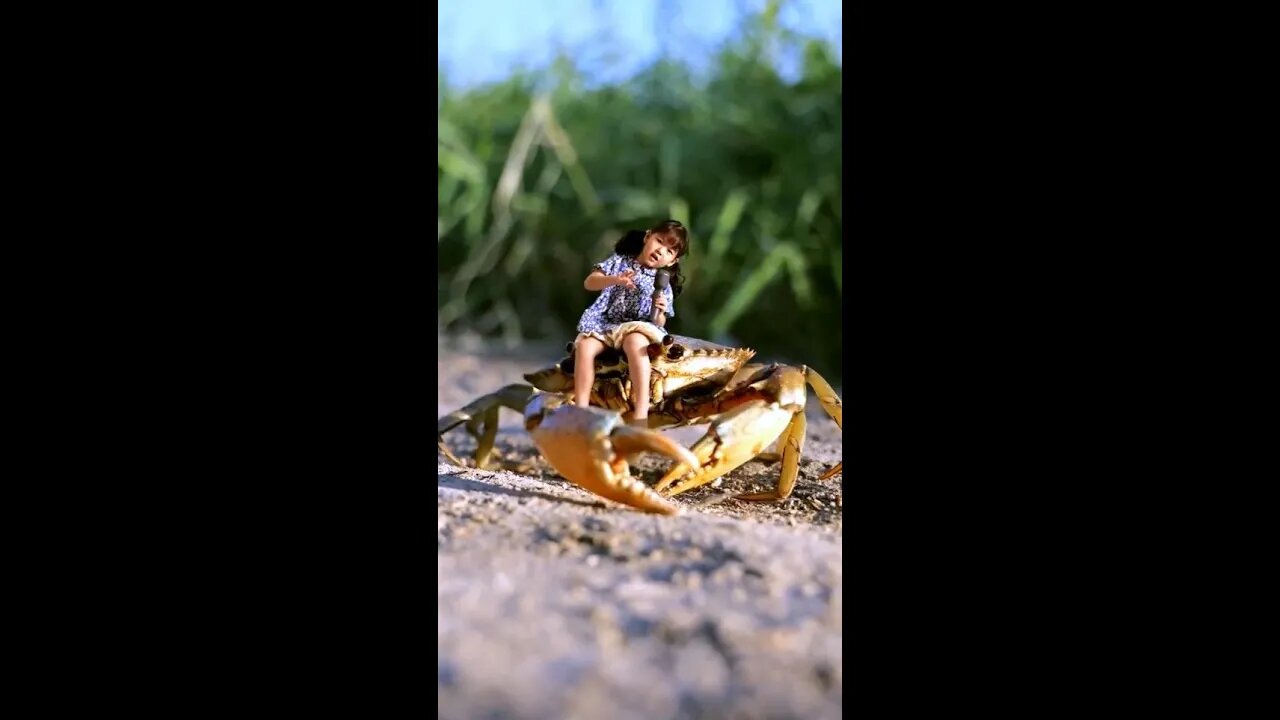 Little angels riding crabs in concert