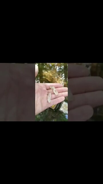 😎 TUTO NETTOYAGE DES CRISTAUX #cristalderoche #lithothérapie #cristaux #orgonite #positive #tuto