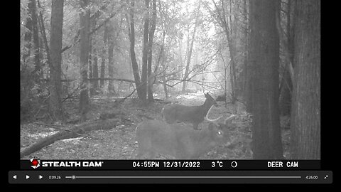 January Trail Camera 2023