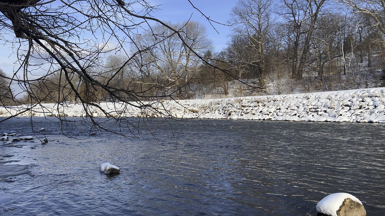 Snowy Humber River bank James Gardens Toronto