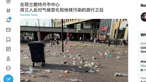 荷蘭人反對氣候變化和地球污染的遊行之後