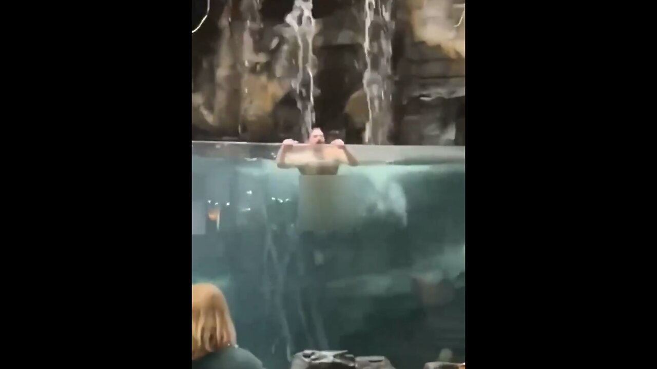 ALABAMA MAN🏊‍♂️🐟 🐢JUMPS INTO BASS PRO SHOP AQUARIUM🐠🏊‍♂️🐚🦞💫