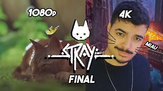 O JOGO DO GATO - Stray- FINAL EMOCIONANTE