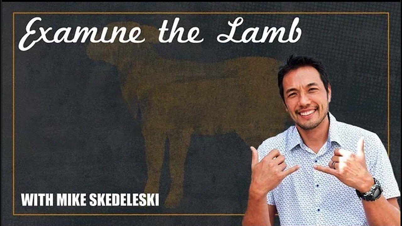 Examine The Lamb Full Service