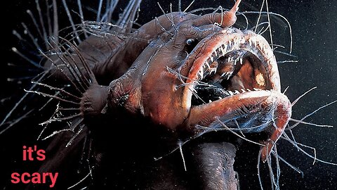 7 Creepiest Creatures Found at The Bottom of the Ocean