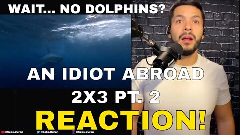 Sebs Reacts to An Idiot Abroad S02E03 Dolphin Swim pt 2 Australia and SHARKS?!