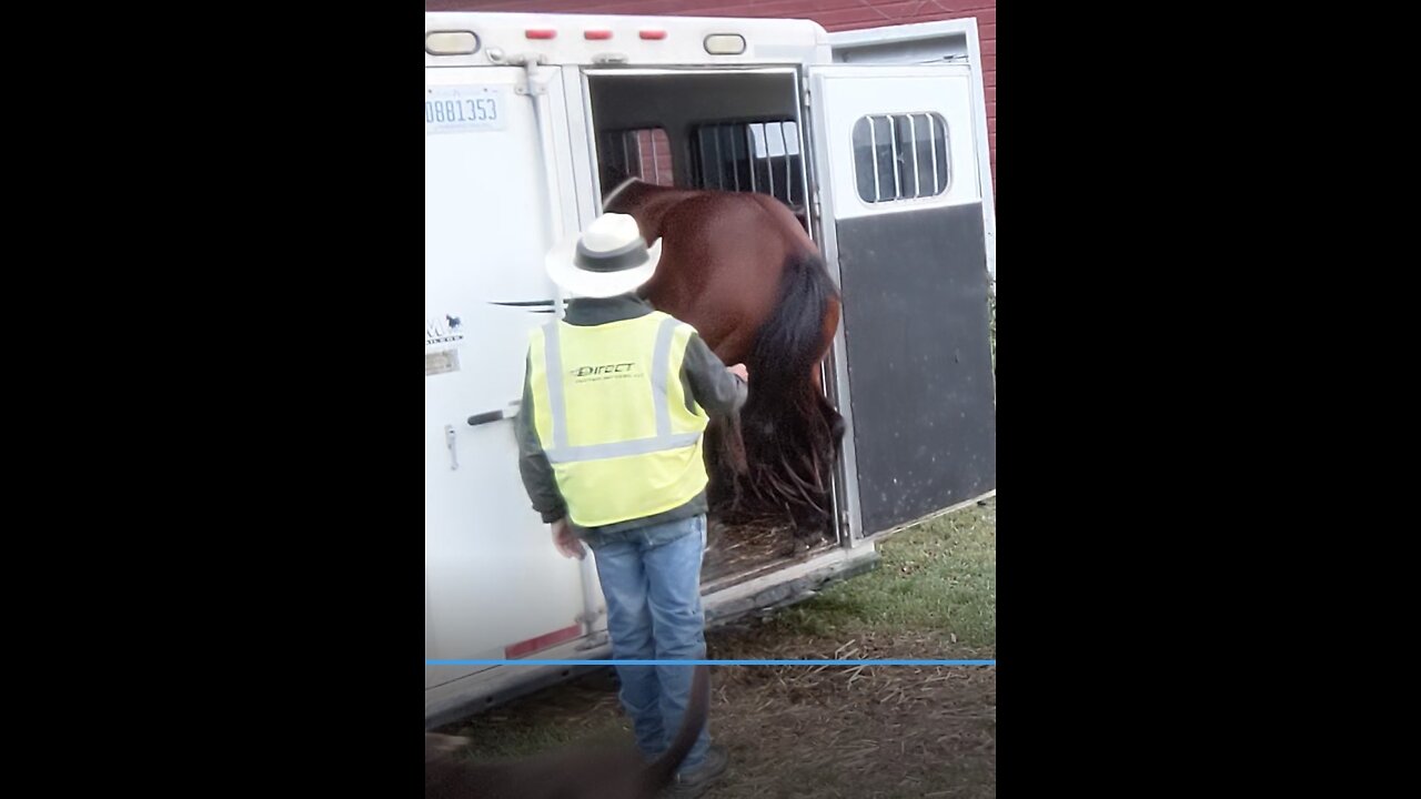 JJ - second session - send in - tail tug to back out of trailer 28 Sept 2022