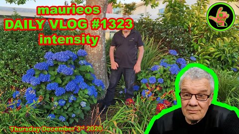 maurieos DAILY VLOG #1323 intensity