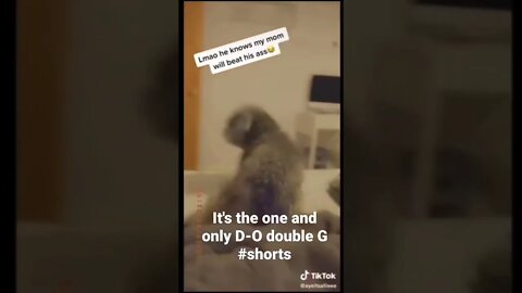 It's the one and only D-O double G #shorts